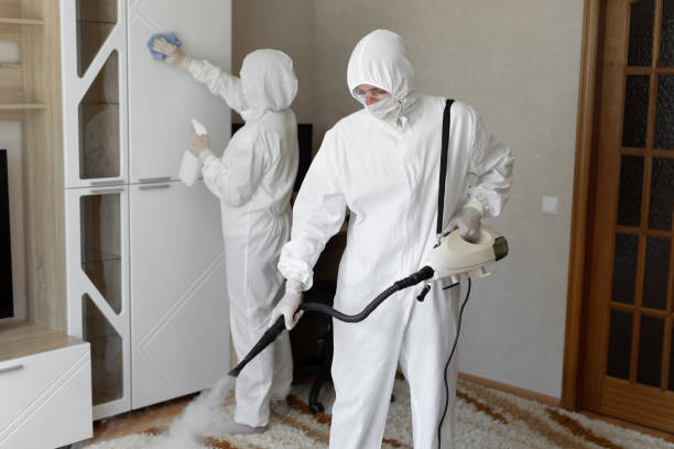 24/7 Emergency Odor Removal experts in Boston, GA